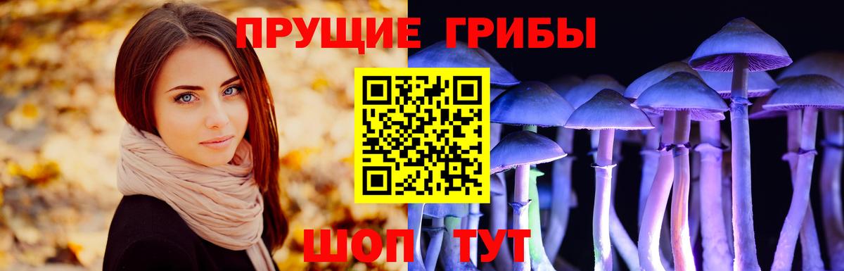 Галлюциногенные грибы Cubensis Партизанск